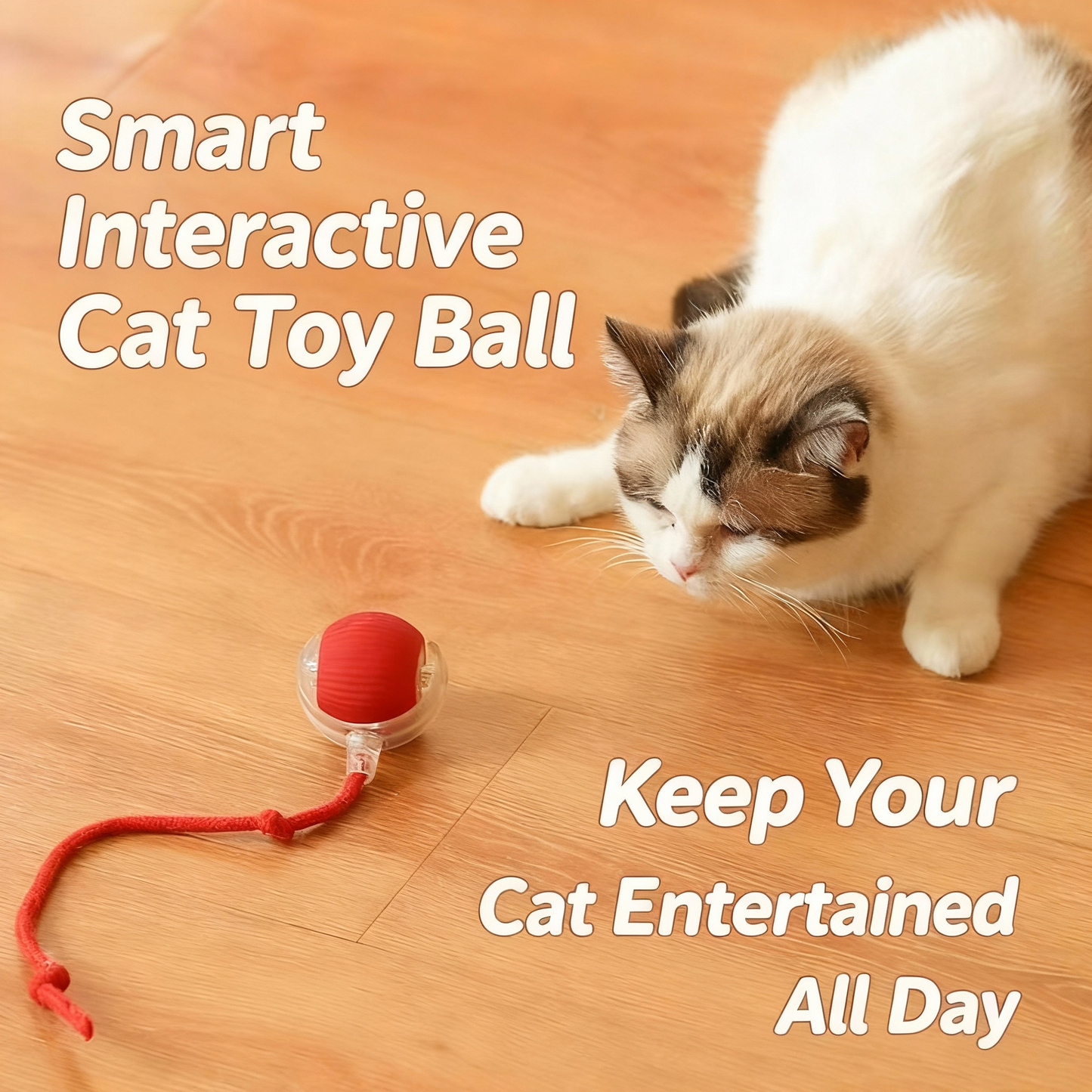 Automatic cat toy ball（Do not purchase during testing.）