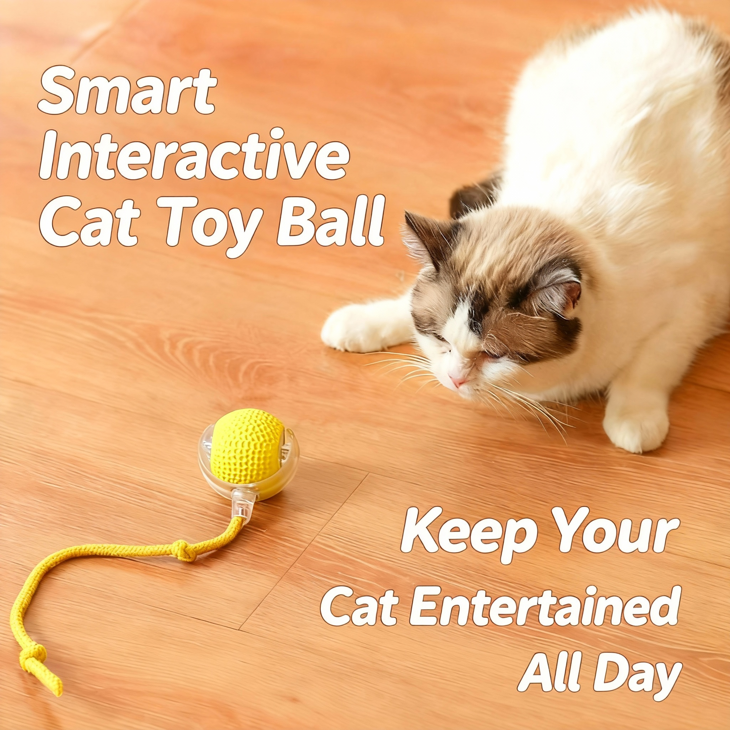 Pet Toy Ball