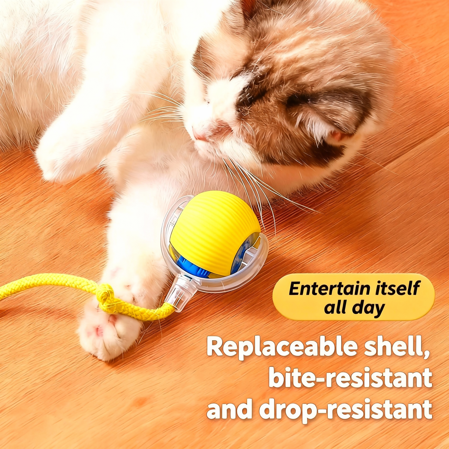Pet Toy Ball